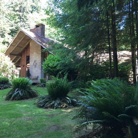 Manitou Lodge ฟอร์กส์ ภายนอก รูปภาพ